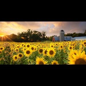 Meet your Posher, Rosaura